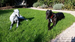 IMG-20160227-WA0020