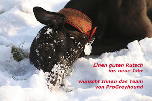 neujahrgross