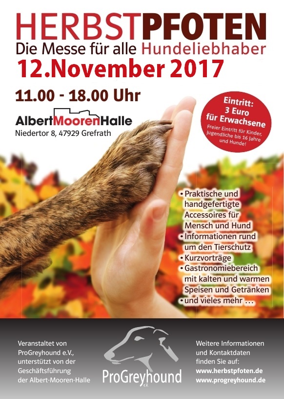 flyer16