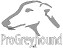 ProGreyhound e.V. - Tierschutzverein für den Schutz des Greyhound vor den kommerziellen Rennbahnen und der Wett-Industrie